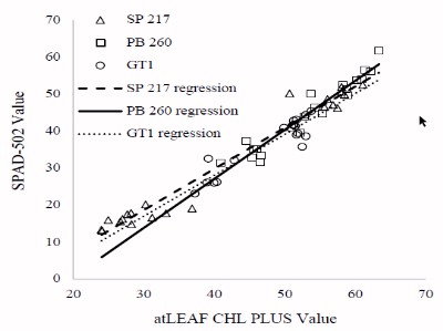 SPAD-502 and atLEAF CHL PLUS values provide good estimation of the chlorophyll content for Hevea brasiliensis Müll. Arg. Leaves